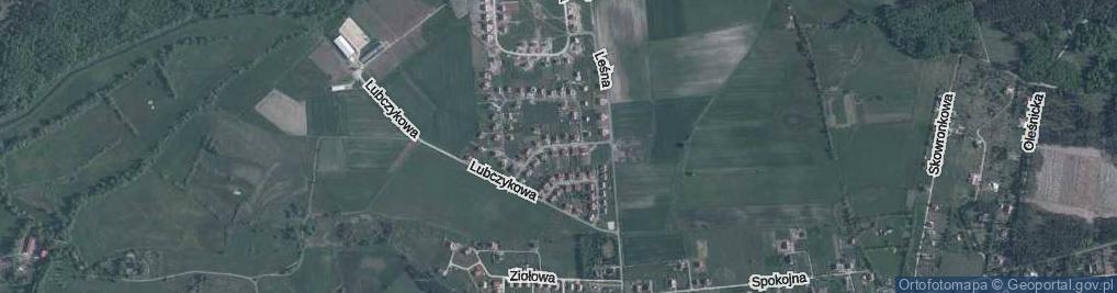 Zdjęcie satelitarne Czarnej Jagody ul.